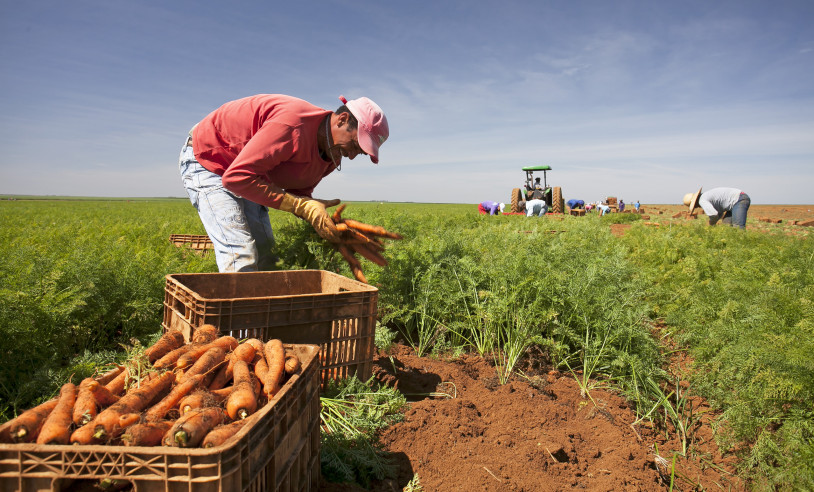 ASN Minas Gerais - Agência Sebrae de Notícias