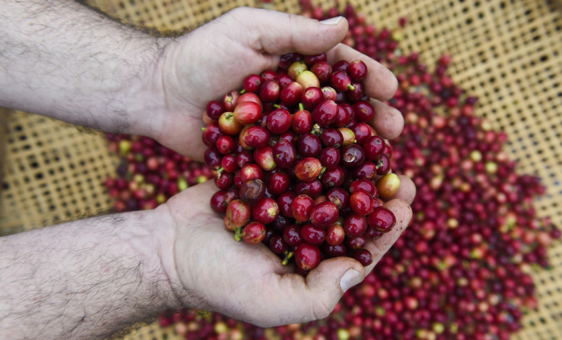 ASN Minas Gerais - Agência Sebrae de Notícias