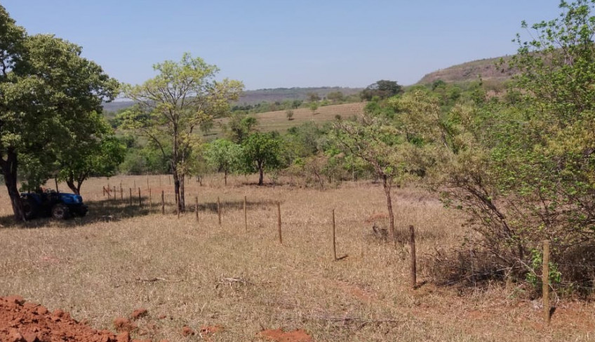 ASN Minas Gerais - Agência Sebrae de Notícias
