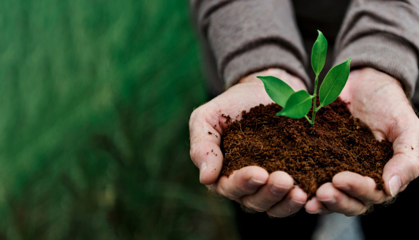 ASN Minas Gerais - Agência Sebrae de Notícias