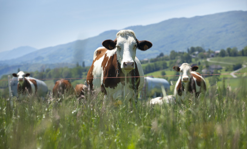 ASN Minas Gerais - Agência Sebrae de Notícias