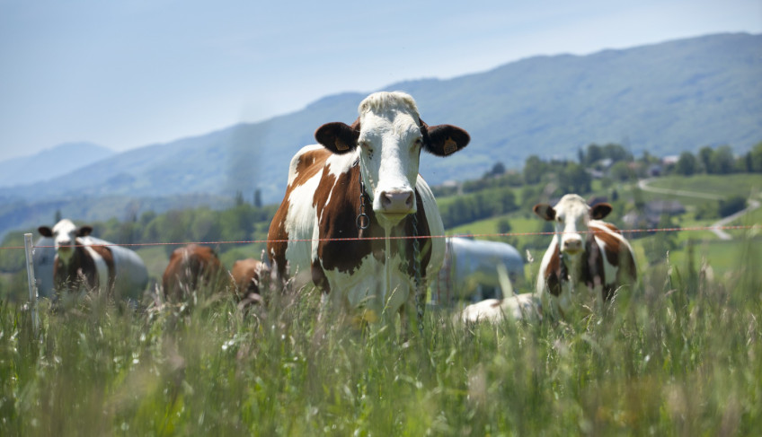 ASN Minas Gerais - Agência Sebrae de Notícias