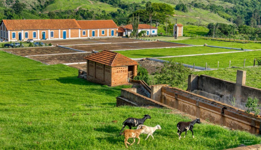 ASN Minas Gerais - Agência Sebrae de Notícias