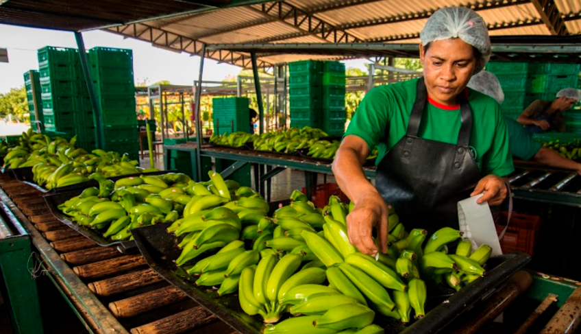 ASN Minas Gerais - Agência Sebrae de Notícias