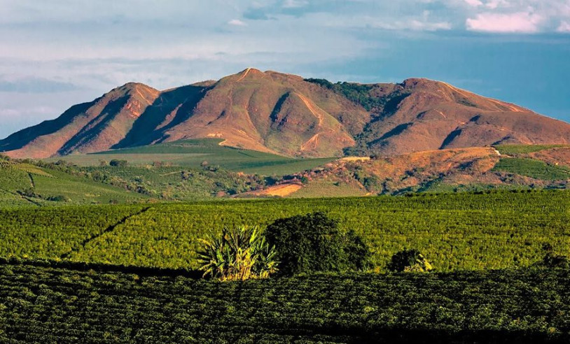 ASN Minas Gerais - Agência Sebrae de Notícias