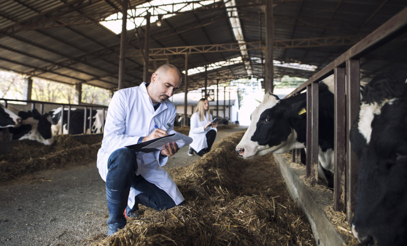 ASN Minas Gerais - Agência Sebrae de Notícias