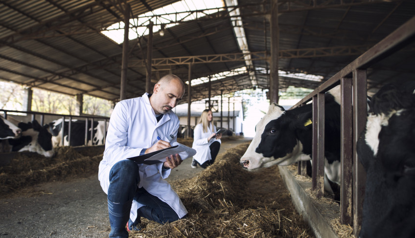 ASN Minas Gerais - Agência Sebrae de Notícias