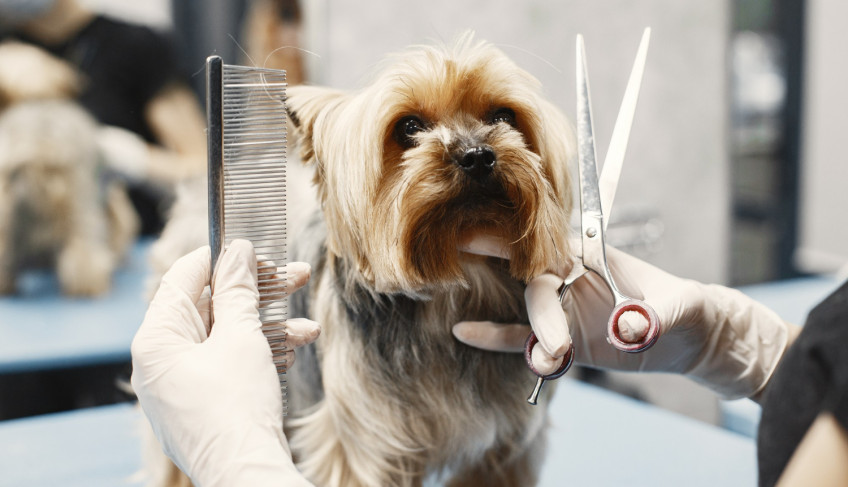 ASN Minas Gerais - Agência Sebrae de Notícias