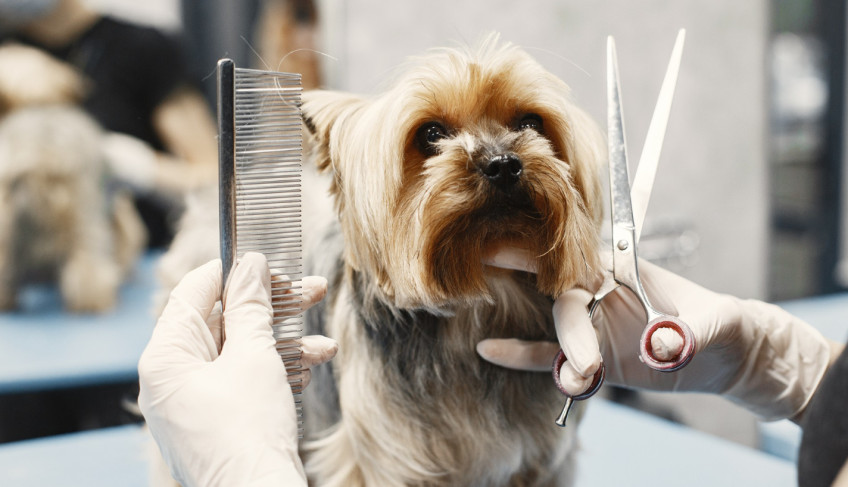 ASN Minas Gerais - Agência Sebrae de Notícias