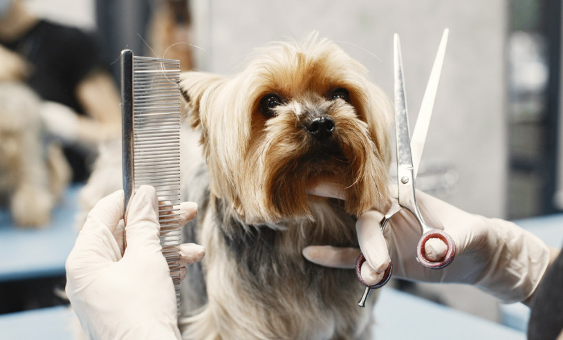 ASN Minas Gerais - Agência Sebrae de Notícias