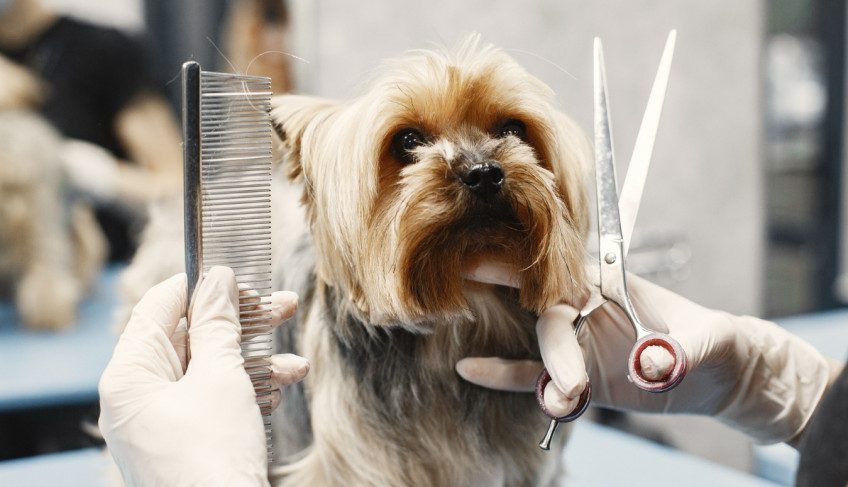 ASN Minas Gerais - Agência Sebrae de Notícias