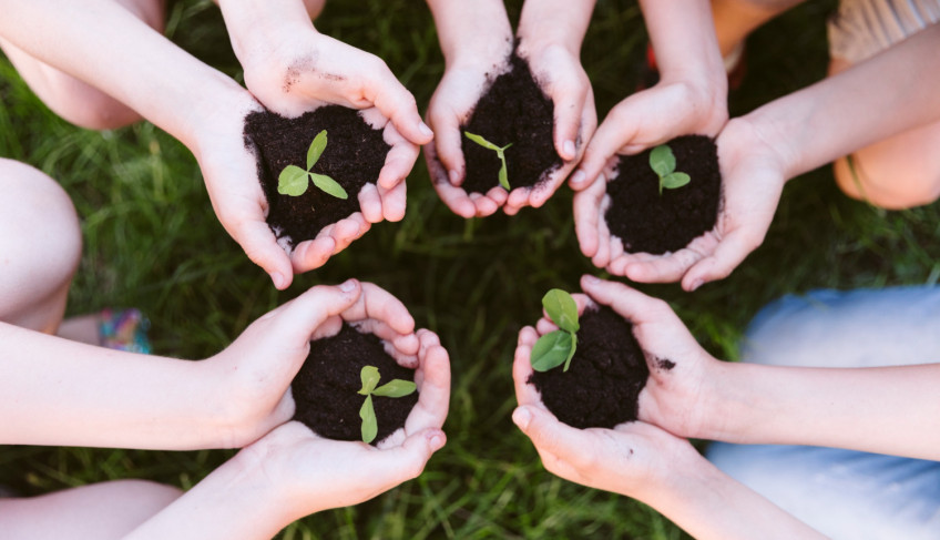 ASN Minas Gerais - Agência Sebrae de Notícias