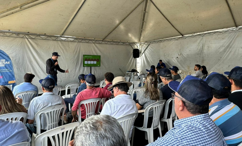 ASN Minas Gerais - Agência Sebrae de Notícias