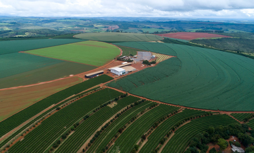 ASN Minas Gerais - Agência Sebrae de Notícias