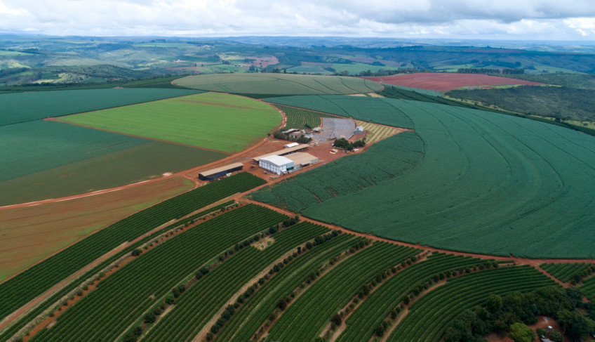 ASN Minas Gerais - Agência Sebrae de Notícias