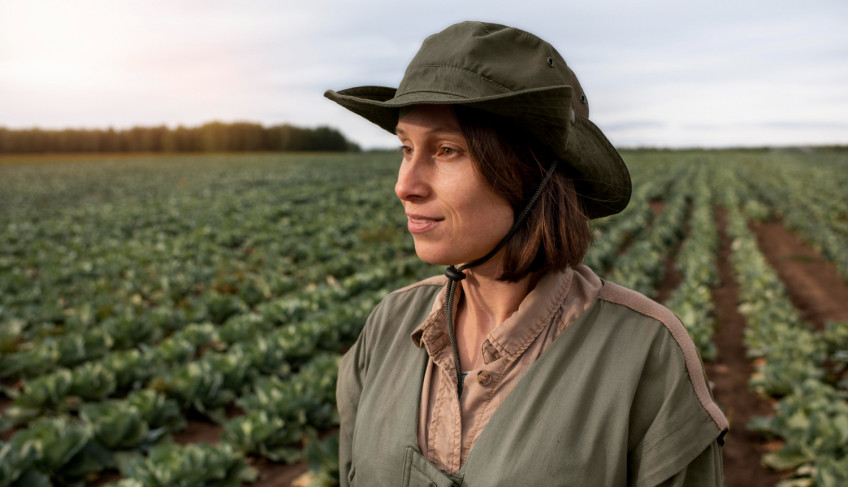 ASN Minas Gerais - Agência Sebrae de Notícias