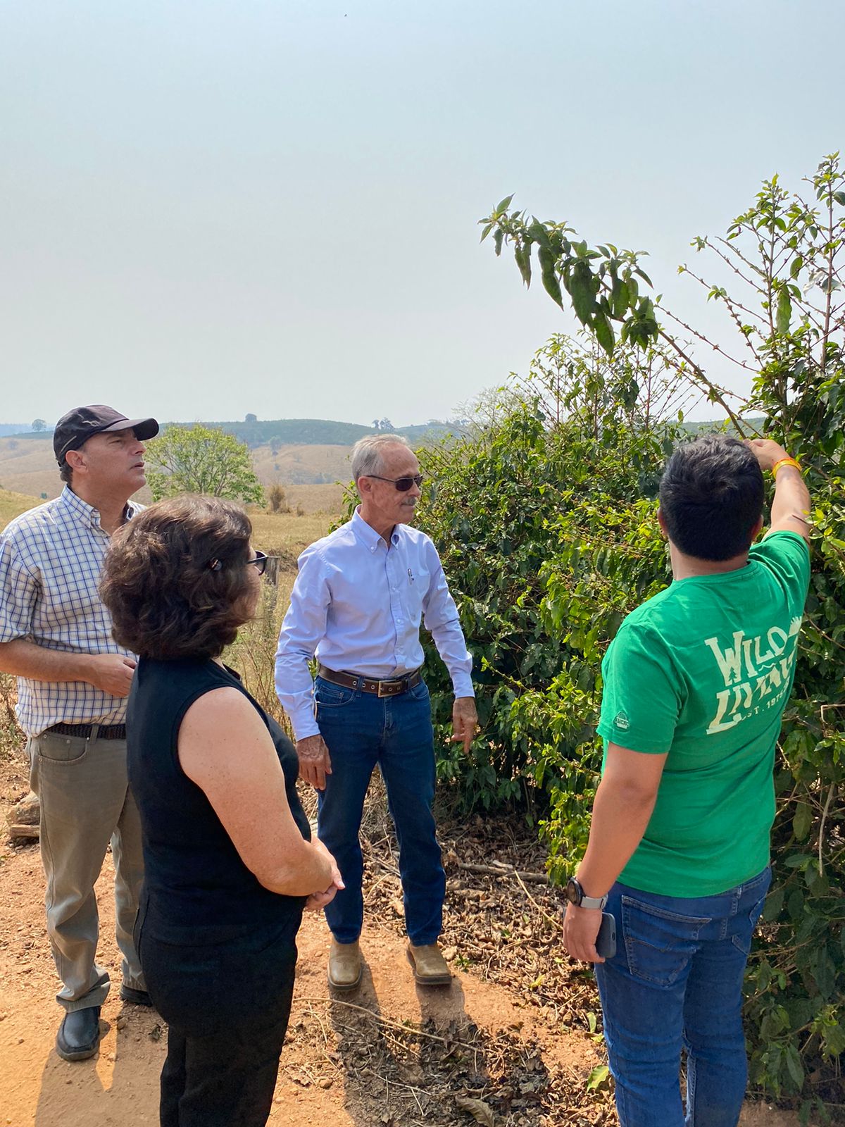 Cafeicultores da Região Vulcânica participam de mentoria da União Europeia