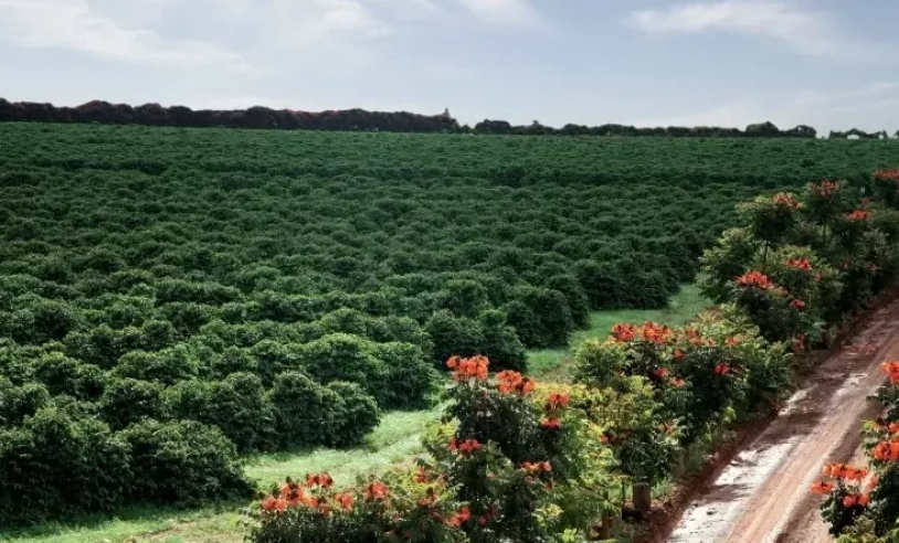 ASN Minas Gerais - Agência Sebrae de Notícias