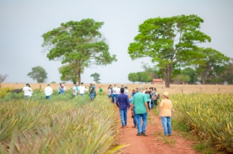 Feira de Agronegócios do Abacaxi