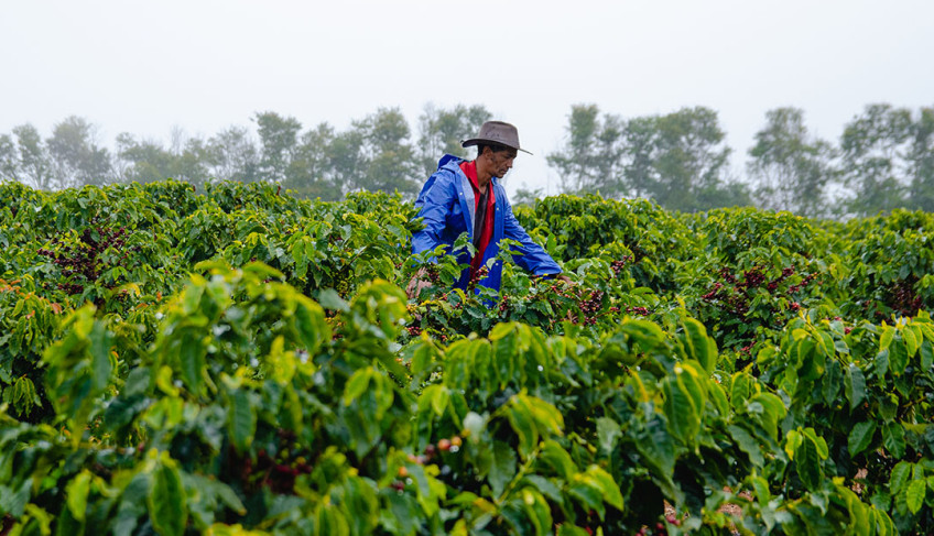 ASN Minas Gerais - Agência Sebrae de Notícias