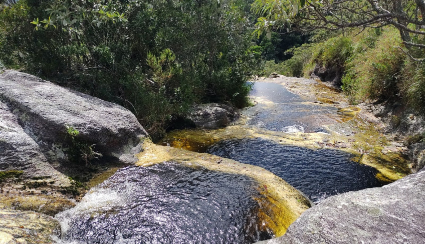 Parque Estadual Serra da Mantiqueira_Crédito Sebrae