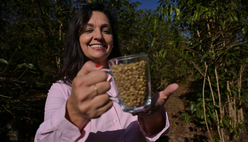 ASN Minas Gerais - Agência Sebrae de Notícias