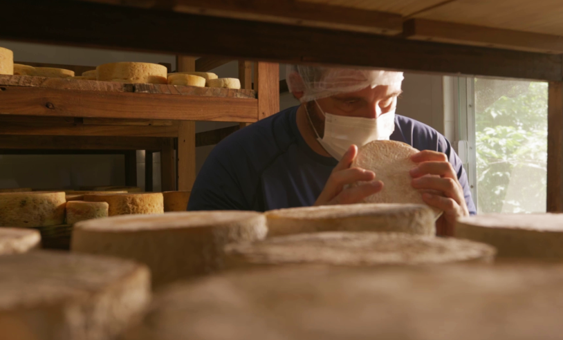 ASN Minas Gerais - Agência Sebrae de Notícias