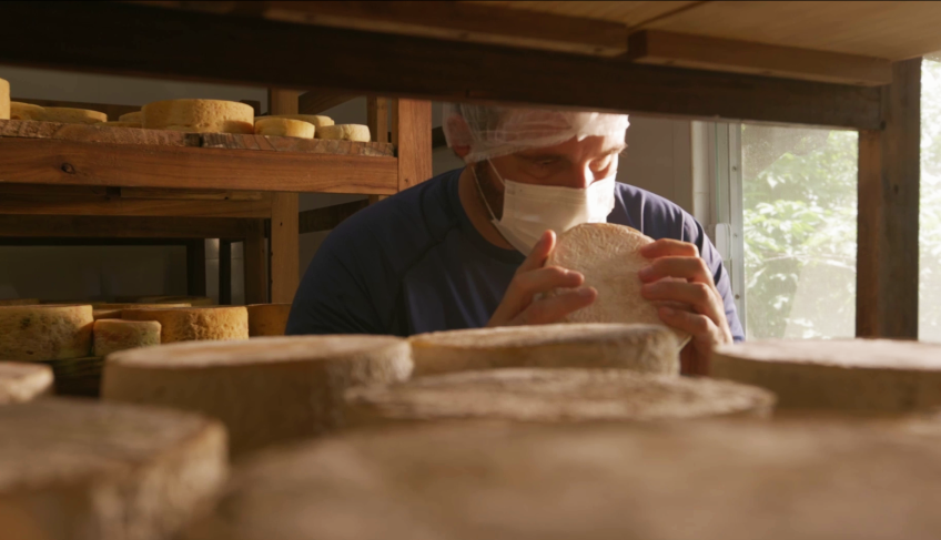 ASN Minas Gerais - Agência Sebrae de Notícias