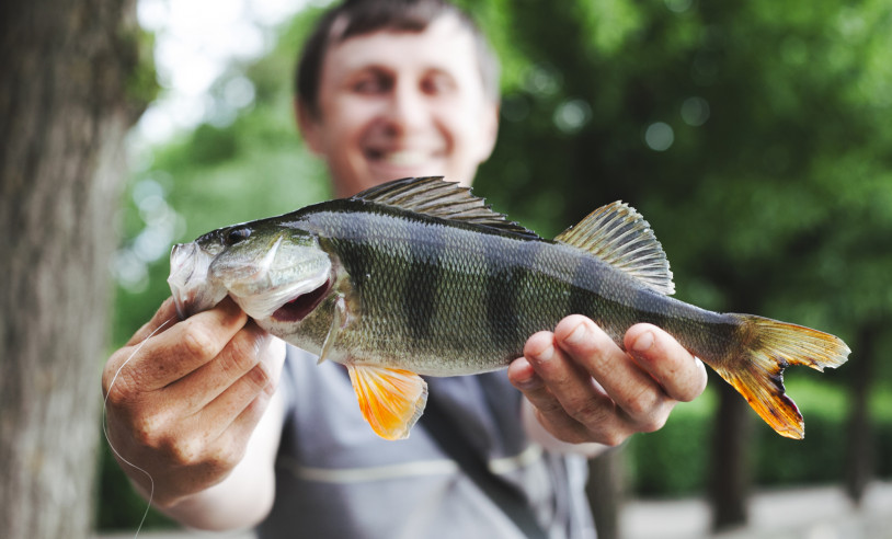 ASN Minas Gerais - Agência Sebrae de Notícias