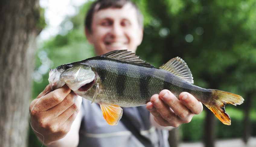 ASN Minas Gerais - Agência Sebrae de Notícias