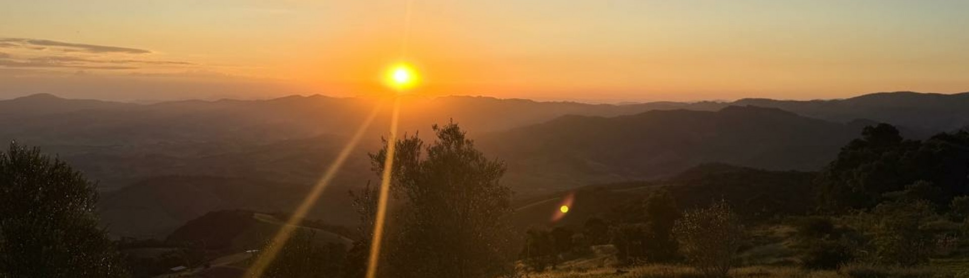 ASN Minas Gerais - Agência Sebrae de Notícias