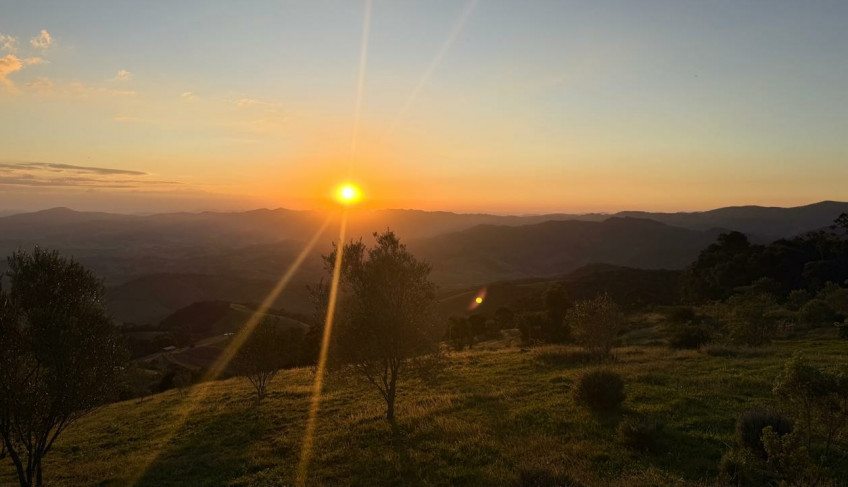 ASN Minas Gerais - Agência Sebrae de Notícias