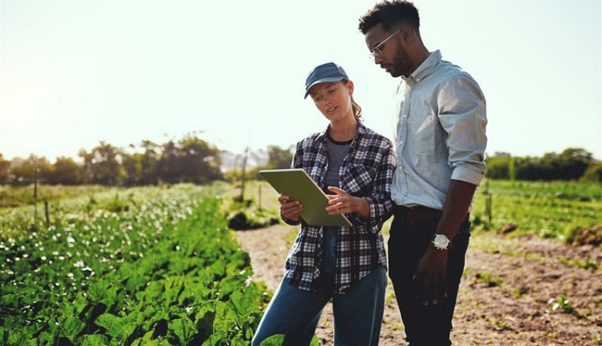 ASN Minas Gerais - Agência Sebrae de Notícias