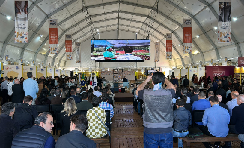 ASN Minas Gerais - Agência Sebrae de Notícias