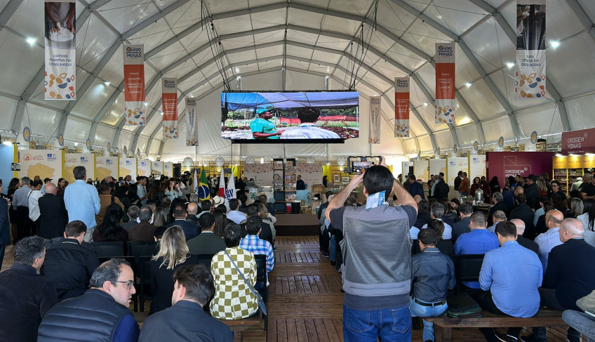 ASN Minas Gerais - Agência Sebrae de Notícias