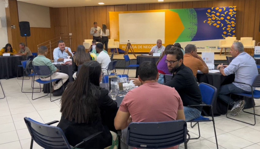 ASN Minas Gerais - Agência Sebrae de Notícias