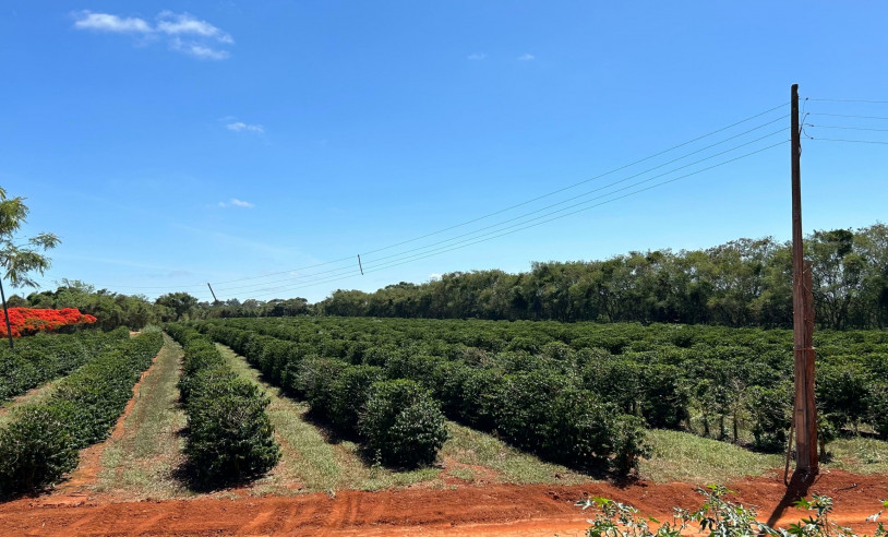 ASN Minas Gerais - Agência Sebrae de Notícias