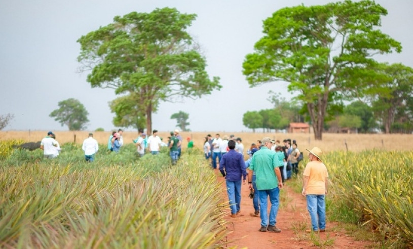 ASN Minas Gerais - Agência Sebrae de Notícias