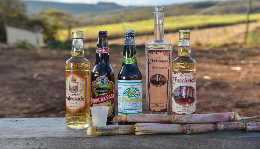 ASN Minas Gerais - Agência Sebrae de Notícias