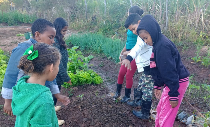 ASN Minas Gerais - Agência Sebrae de Notícias