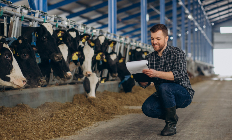 ASN Minas Gerais - Agência Sebrae de Notícias