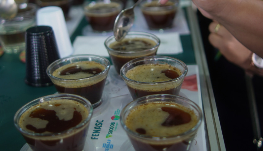 ASN Minas Gerais - Agência Sebrae de Notícias