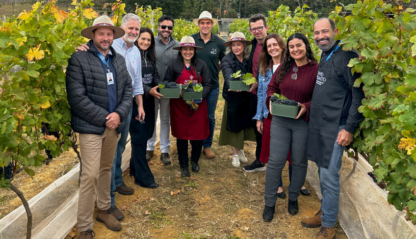 ASN Minas Gerais - Agência Sebrae de Notícias