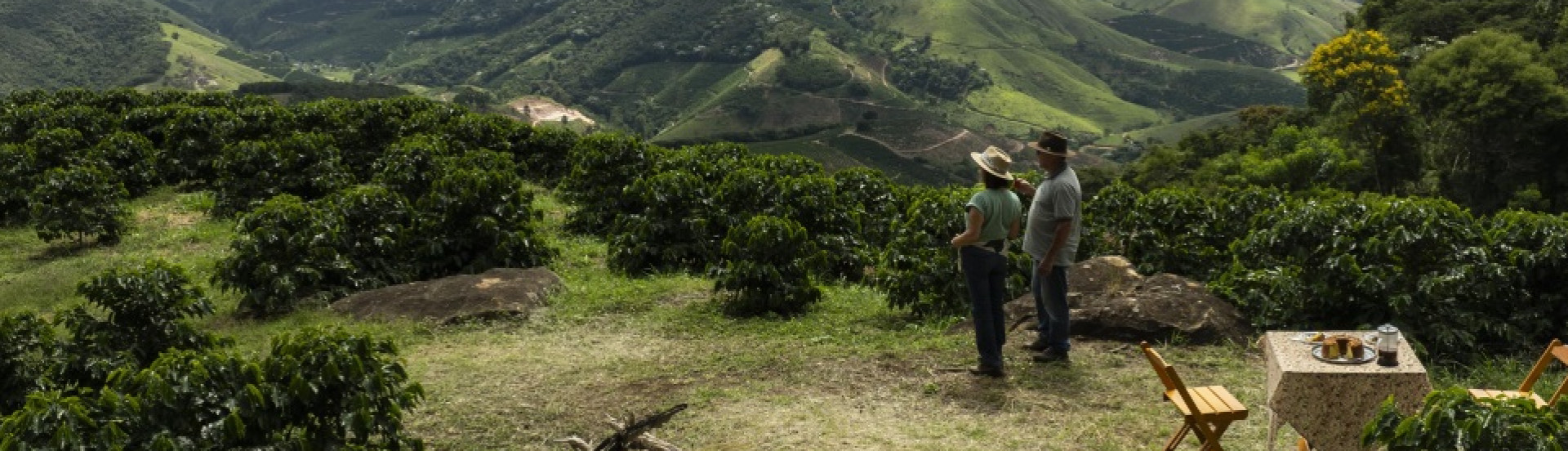 ASN Minas Gerais - Agência Sebrae de Notícias