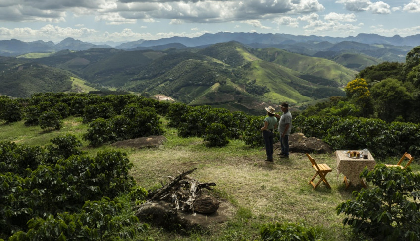 ASN Minas Gerais - Agência Sebrae de Notícias