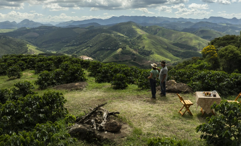 ASN Minas Gerais - Agência Sebrae de Notícias