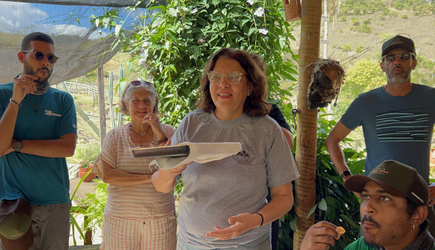 ASN Minas Gerais - Agência Sebrae de Notícias