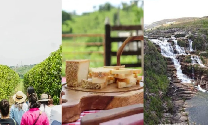 ASN Minas Gerais - Agência Sebrae de Notícias