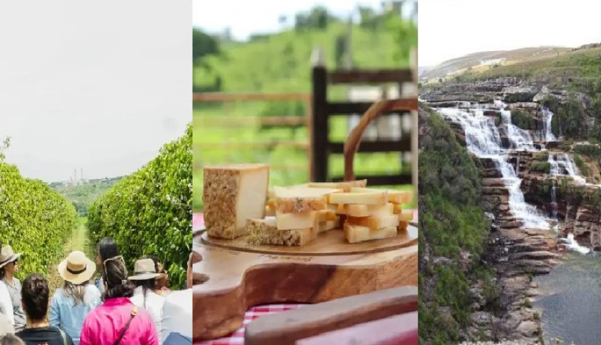 ASN Minas Gerais - Agência Sebrae de Notícias