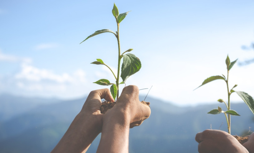 ASN Minas Gerais - Agência Sebrae de Notícias